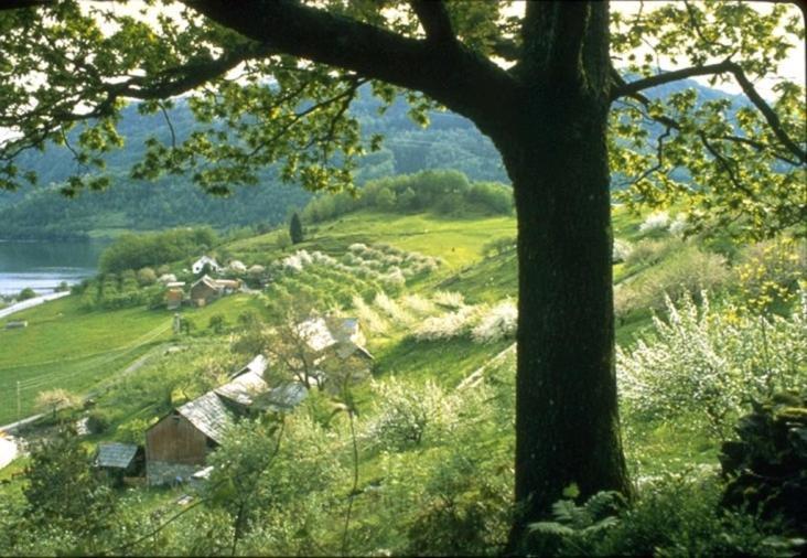 Hardanger Feriesenter Nesvika Villa นูร์ไฮม์ซุนด์ ภายนอก รูปภาพ