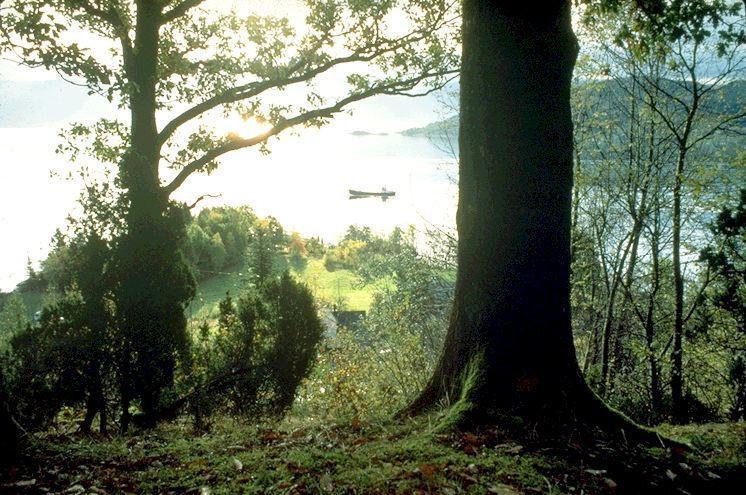 Hardanger Feriesenter Nesvika Villa นูร์ไฮม์ซุนด์ ภายนอก รูปภาพ